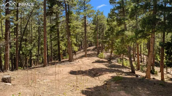 2255 Elk Park RD, Larkspur, CO 80118