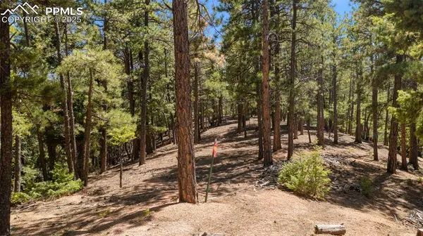 2255 Elk Park RD, Larkspur, CO 80118