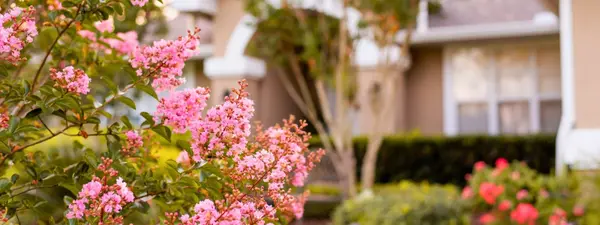 Buying a Home This Summer in North Alabama? Pros, Cons, Tips, and What to Expect