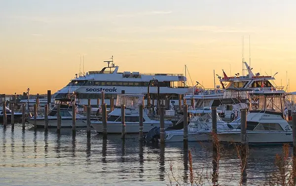 SeaStreak Ferry to Point Pleasant NJ: Why Shore Buyers Love the Easy NYC Access in 2026