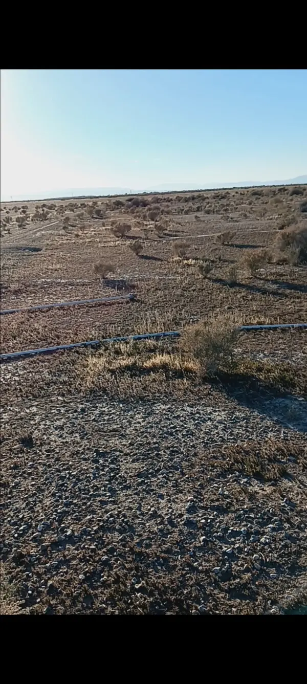 47805 55th St E, Lancaster, CA 93535-7818