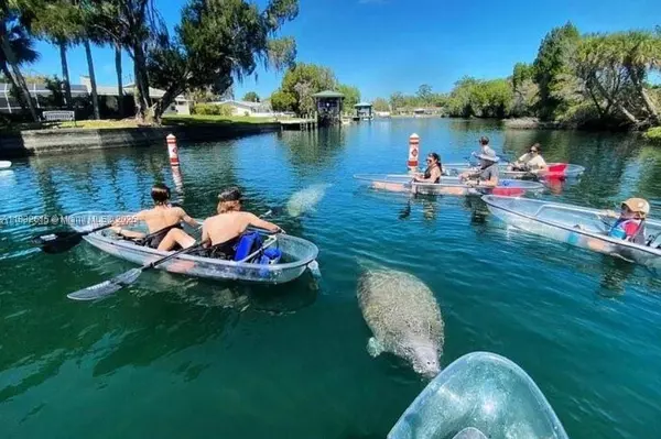 684 E Noah Ln, Citrus Springs, FL 34434