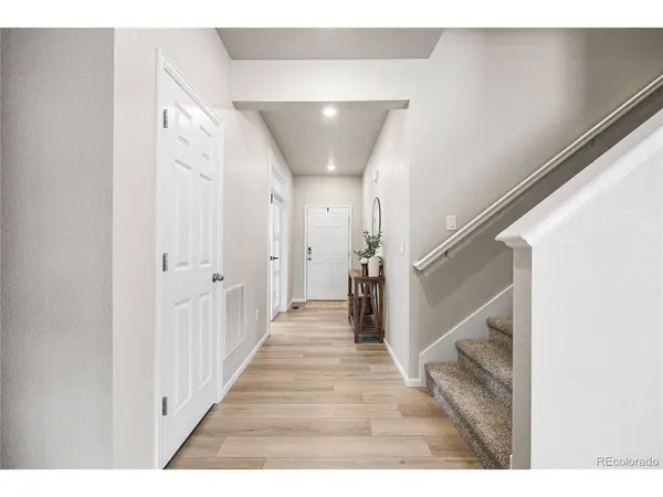 1674 Rumley Creek, Windsor, CO 80550