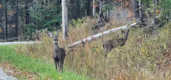 10 Lake Vista DR, Oakland, ME 04963