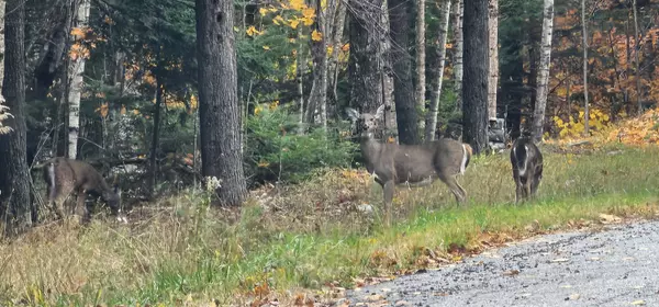 10 Lake Vista DR, Oakland, ME 04963