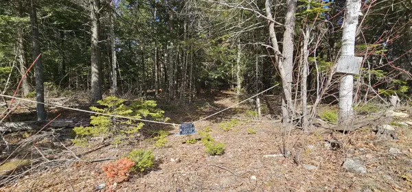 31, 31-1 Weymouth RD, Albion, ME 04910