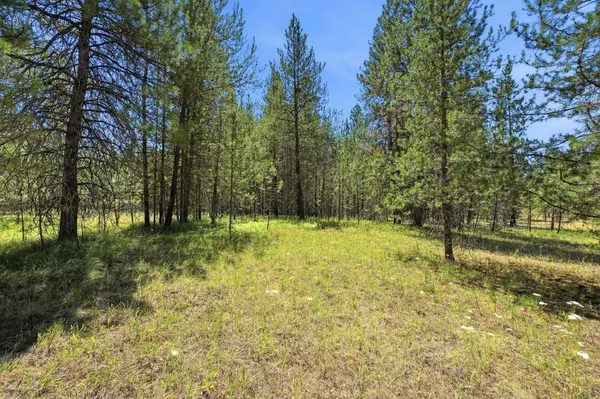 0 E Owens Rd, Chattaroy, WA 99003