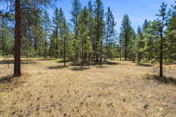 0 E Owens Rd, Chattaroy, WA 99003