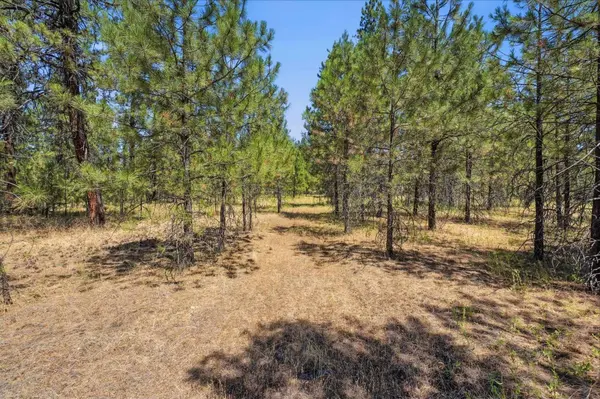 0 E Owens Rd, Chattaroy, WA 99003
