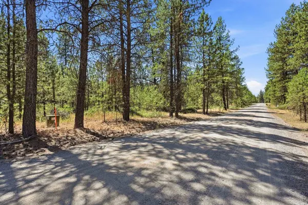 0 E Owens Rd, Chattaroy, WA 99003