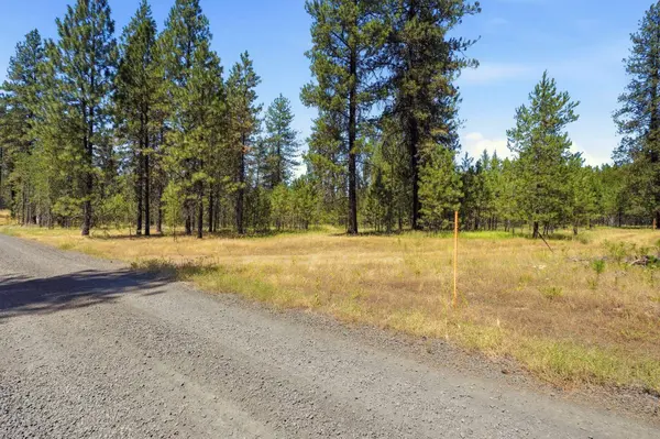 0 E Owens Rd, Chattaroy, WA 99003