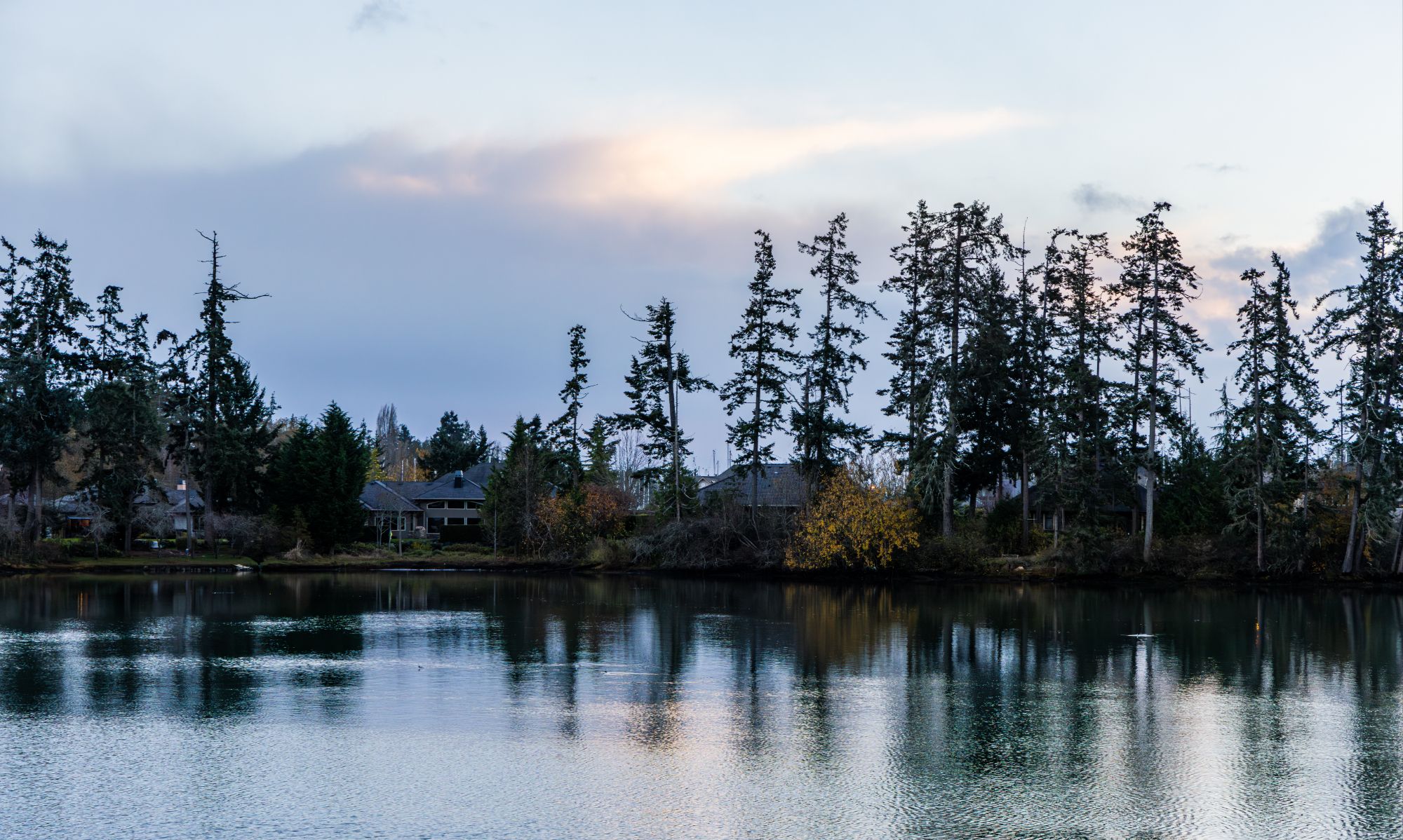 Comox Rentals The Top Most Expensive Communities in the Comox Valley for August 2...