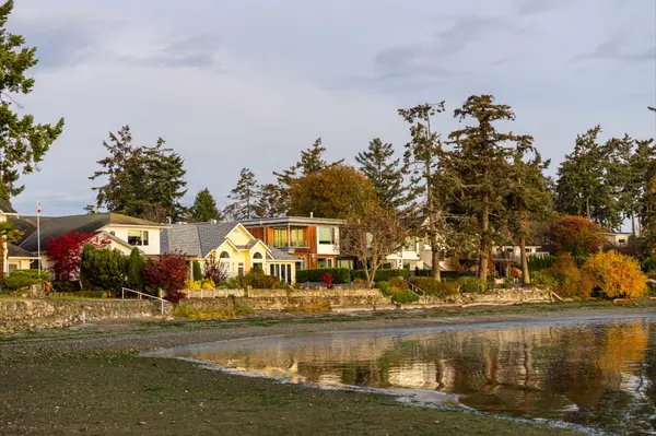 Places to Live on Vancouver Island,Jason Anson