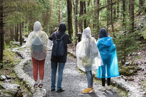 feature image of The Weather on Vancouver Island