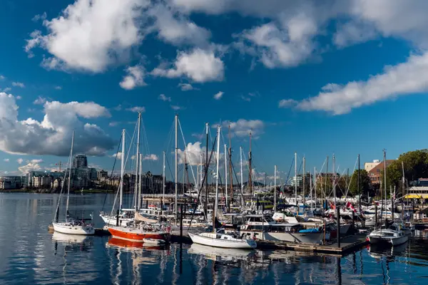 Places to Visit on Vancouver Island,Jason Anson