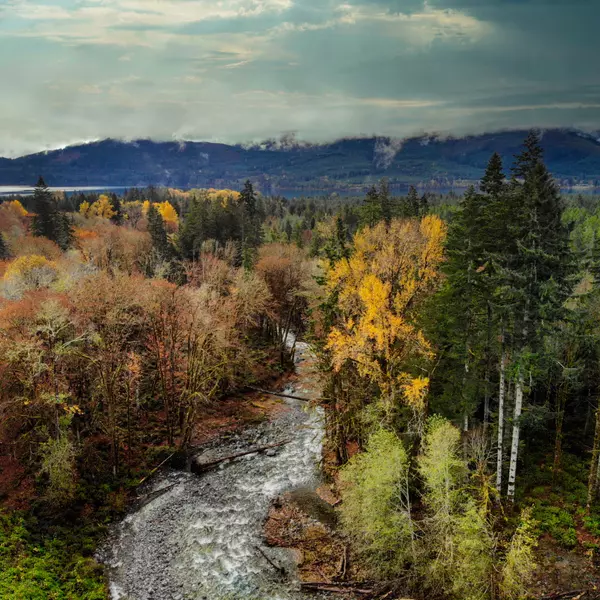 Autumn aerial view of Youbou on Vancouver Island with forested hills, flowing river, and lake in the background
