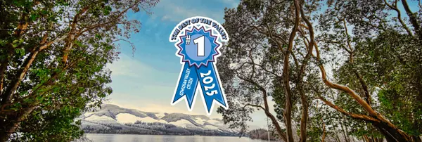 2025 Cowichan Valley Citizen Best of the Valley Winner - Best Real Estate Agents