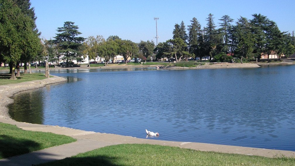 Ellis Lake in Marysville, California, with calm blue water, a paved walking path along green lawns, and tall trees lining the far shore