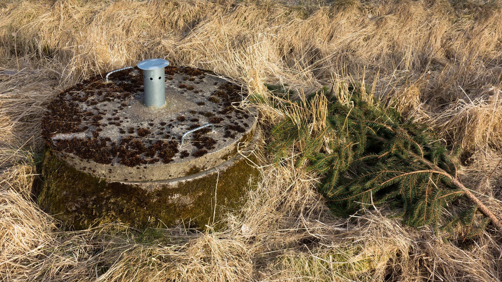 Round concrete septic tank lid with a small metal vent pipe in the middle, sitting in dry tall grass on a rural property