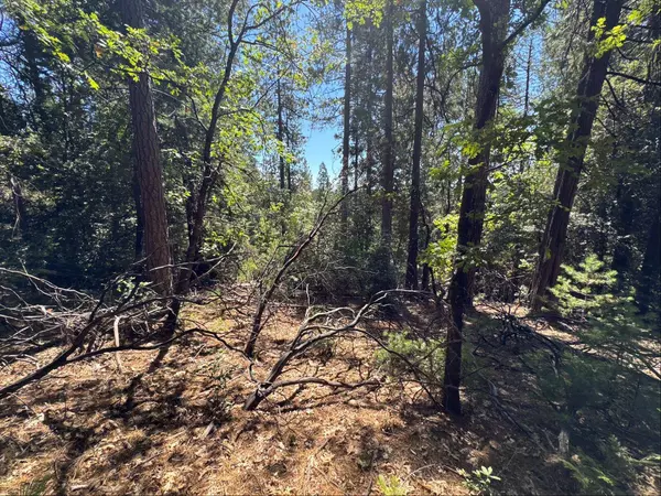 16704 New York House RD, Brownsville, CA 95919