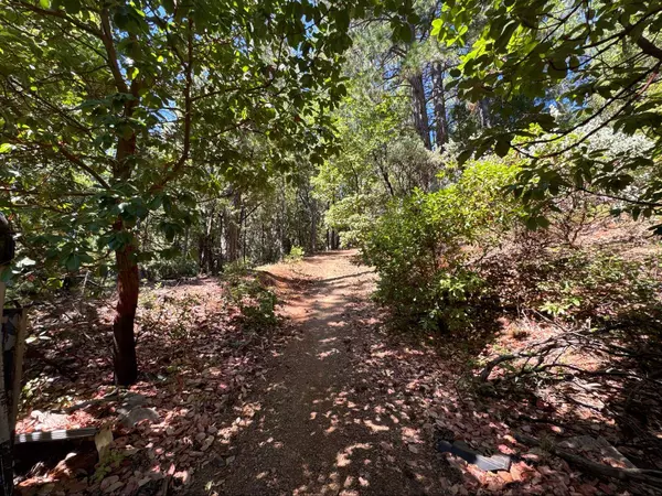 16704 New York House RD, Brownsville, CA 95919