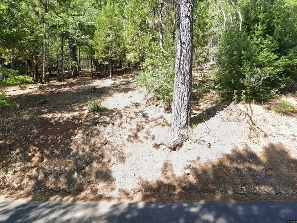 16704 New York House RD, Brownsville, CA 95919