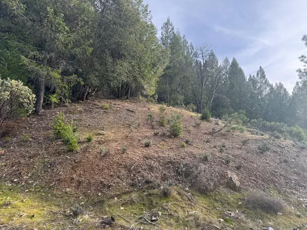 14037 Arrowhead Mine RD, Grass Valley, CA 95945