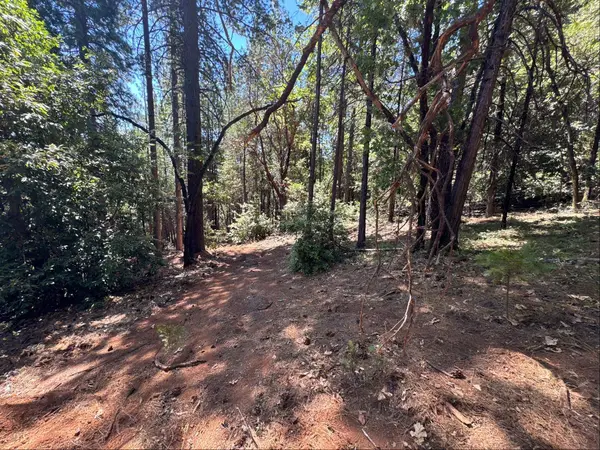 16704 New York House RD, Brownsville, CA 95919