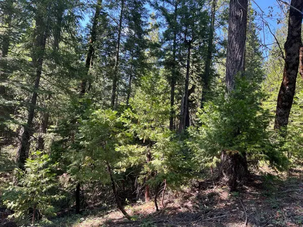 2761 Quincy La Porte RD, Strawberry Valley, CA 95981