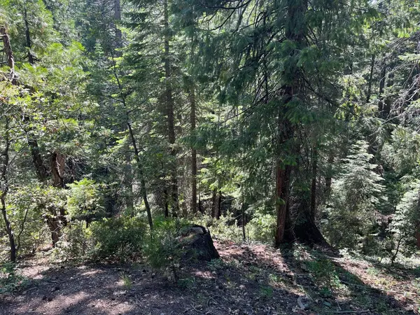 2761 Quincy La Porte RD, Strawberry Valley, CA 95981