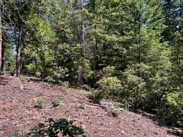 2761 Quincy La Porte RD, Strawberry Valley, CA 95981
