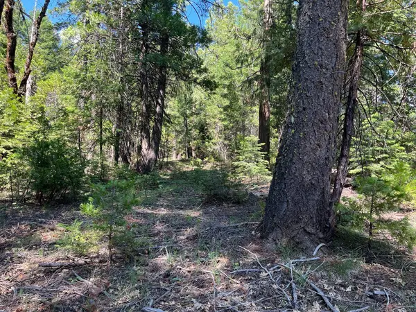 2761 Quincy La Porte RD, Strawberry Valley, CA 95981
