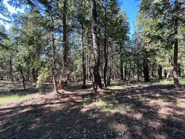 2761 Quincy La Porte RD, Strawberry Valley, CA 95981