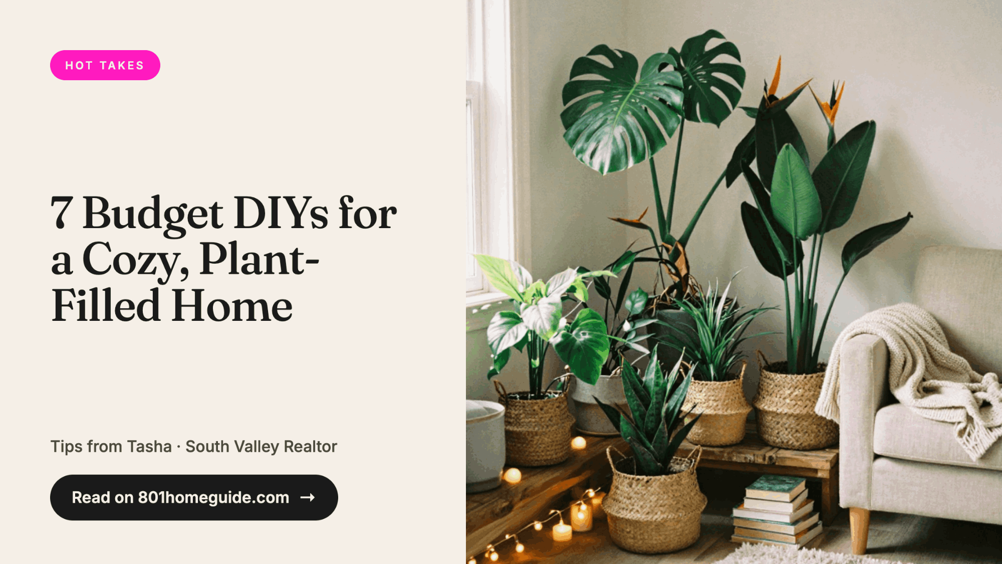 real estate herriman utah 5 budget DIYs for a cozy plant filled home tasha rodriguez realtor homes