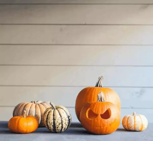 The Ultimate KC Weekend Guide: Halloween & Day of the Dead (October 31 – November 2),Danny Howell