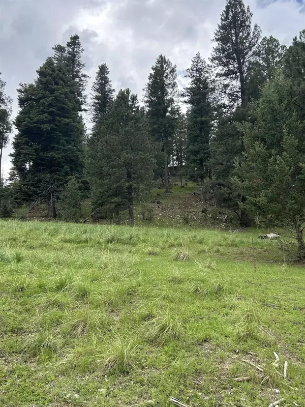 Trading Post Rd, Cloudcroft, NM 88317