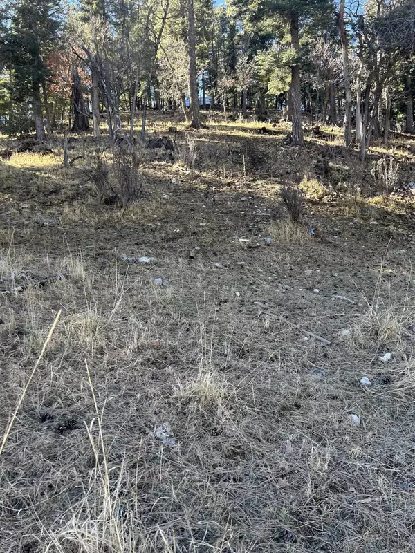 Trading Post Rd, Cloudcroft, NM 88317