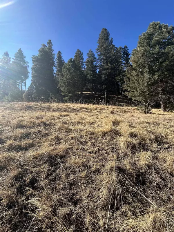 Trading Post Rd, Cloudcroft, NM 88317