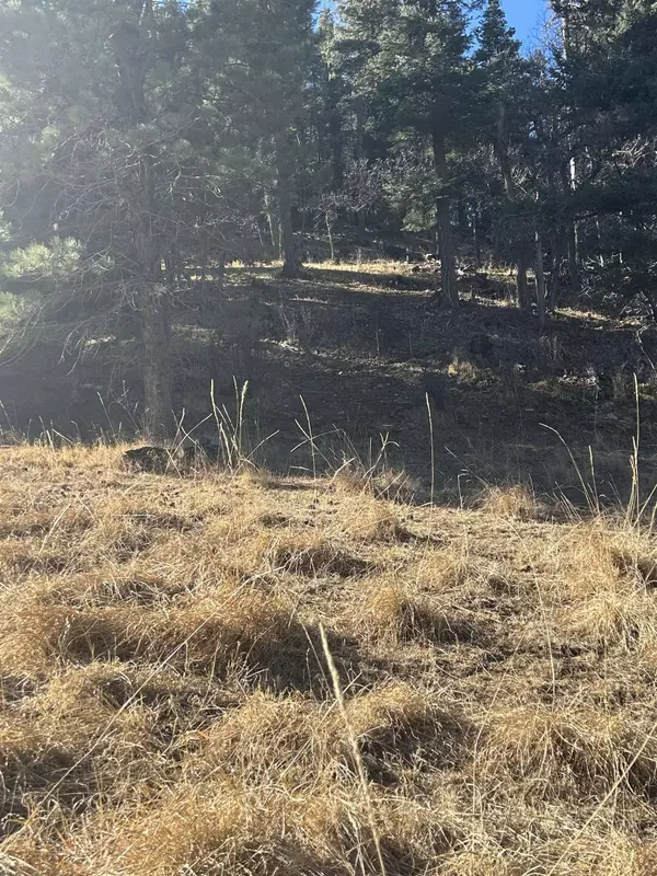 Trading Post Rd, Cloudcroft, NM 88317