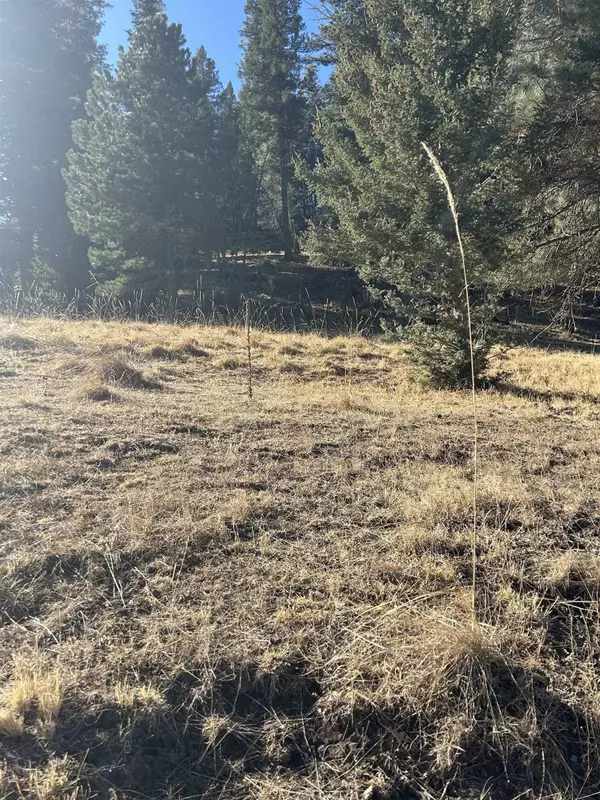 Trading Post Rd, Cloudcroft, NM 88317