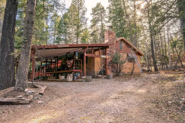 307 Lynx Ave, Cloudcroft, NM 88317