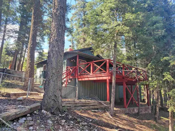 101 Otter Ave, Cloudcroft, NM 88317