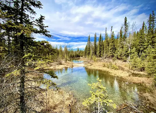 Kelly Doody Calgary realtor - Griffith Woods Discovery Ridge