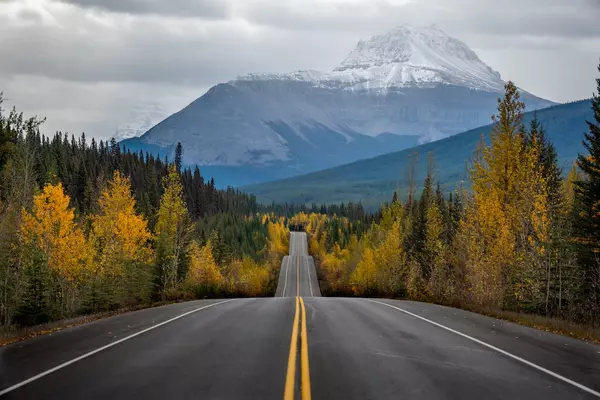 Kelly Doody Real Estate agent relocate to Calgary