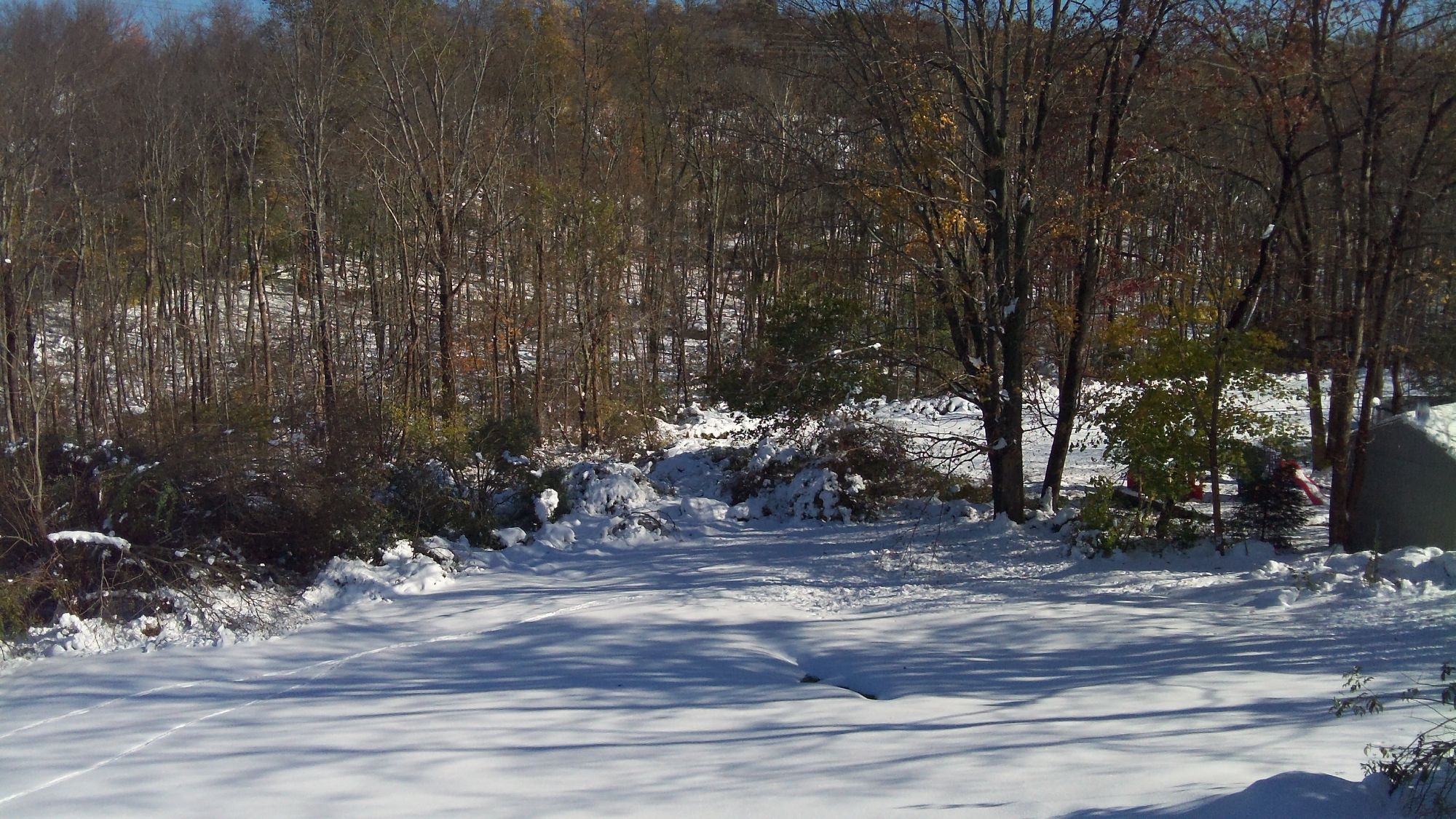 Big_snow_-_panoramio_(1)