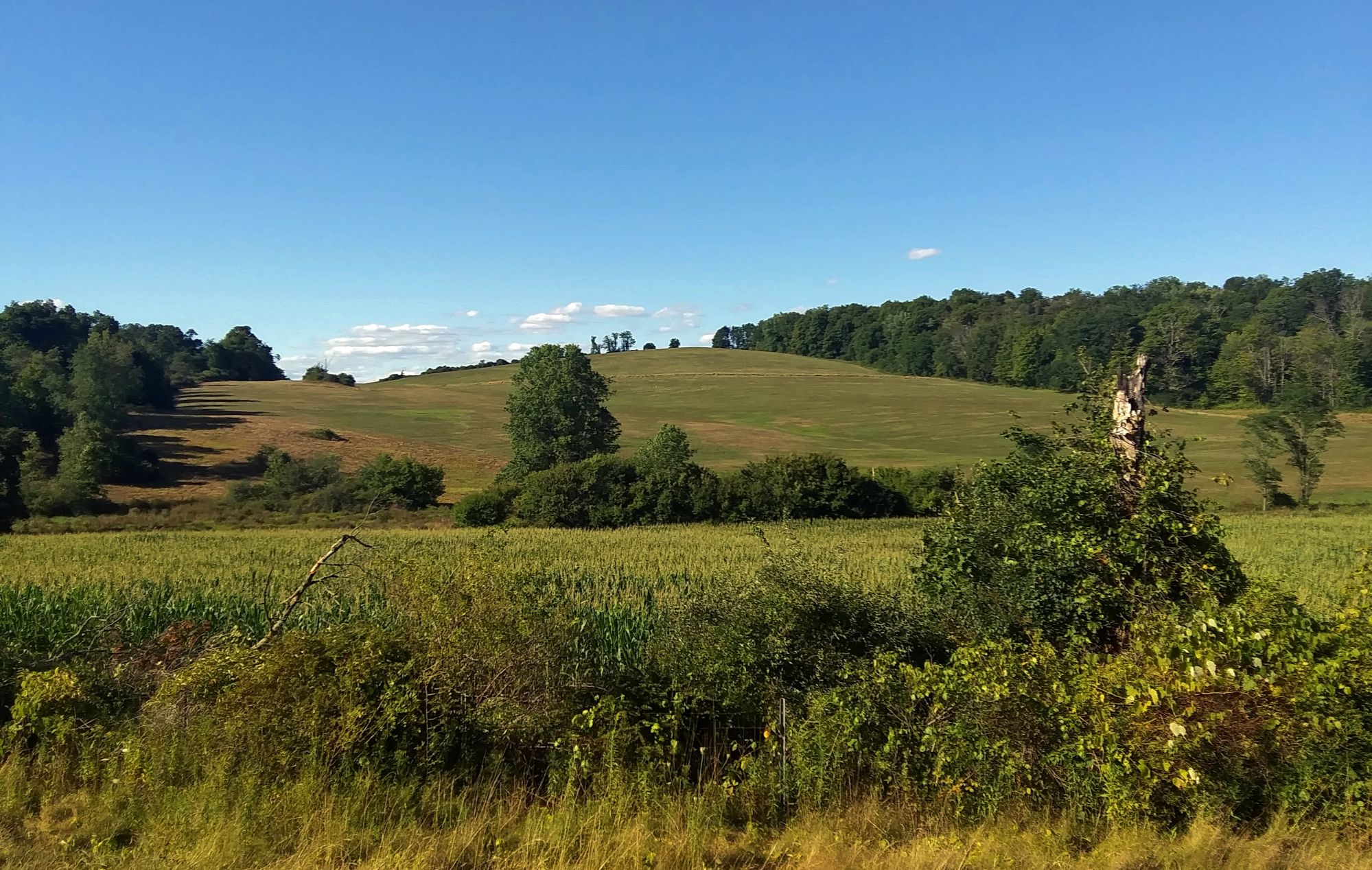 Rural_landscape_on_NY_82_near_Millbrook,_NY