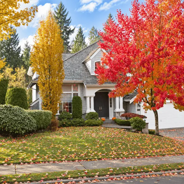What Dallas Sellers Need to Know About Pricing Their Home This Fall,Kelly Reber