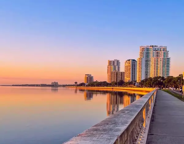Bayshore Boulevard waterfront at sunset with palm trees and skyline in South Tampa
