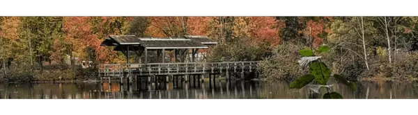 feature image of Living in Abbotsford in The Fall