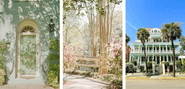 March in Charleston: Events, Local Favorites, and a Market Update